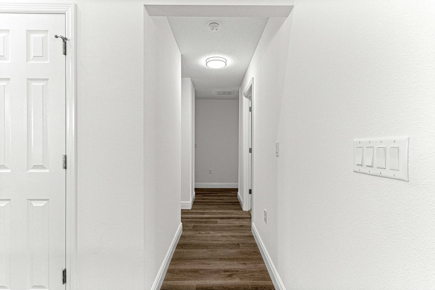 Sael Painting LLC project photo 11